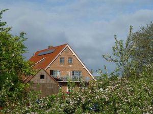 Ferienwohnung für 4 Personen (55 m²) in Drochtersen