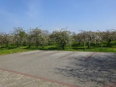 Ferienwohnung für 3 Personen (46 m²) in Drochtersen 9/10