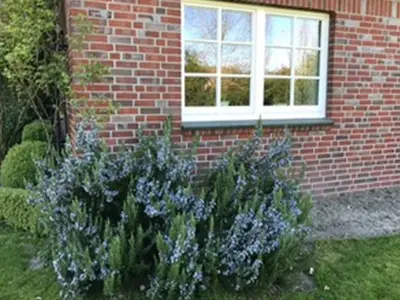 Ferienwohnung für 2 Personen (70 m²) in Drochtersen 8/10