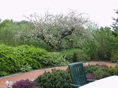 Ferienwohnung für 4 Personen (80 m²) in Drochtersen 4/10