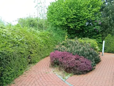 Ferienwohnung für 4 Personen (80 m²) in Drochtersen 5/10