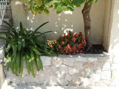 Outdoor