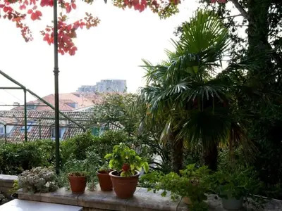 GardenSummer
