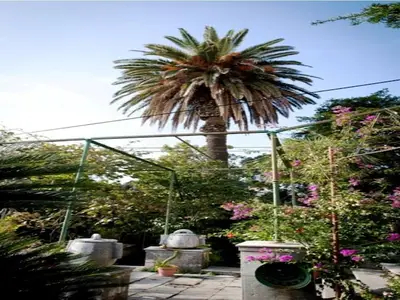 Outdoor