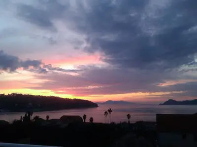 ViewSummer