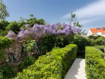 Ferienwohnung für 6 Personen (75 m²) in Dubrovnik 9/10