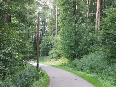 Ferienwohnung für 5 Personen (90 m²) in Stadt Duderstadt 9/10