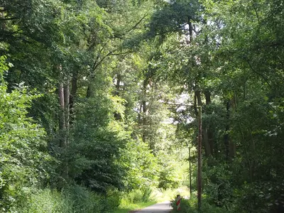 Ferienwohnung für 5 Personen (90 m²) in Stadt Duderstadt 8/10