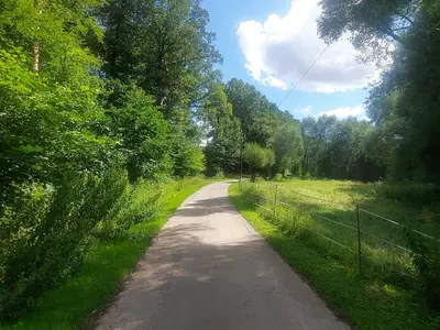 Ferienwohnung für 5 Personen (90 m²) in Stadt Duderstadt 9/10