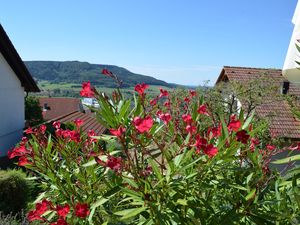 22646447-Ferienwohnung-3-Dürbheim-300x225-4