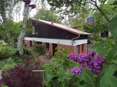 Ferienwohnung für 7 Personen (80 m²) in Dümmer See 9/10