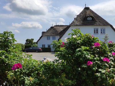 Ferienwohnung für 3 Personen (46 m²) in Dunsum 1/10