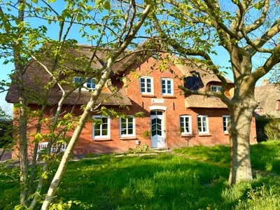 Ferienwohnung für 5 Personen (83 m²) in Dunsum 1/10