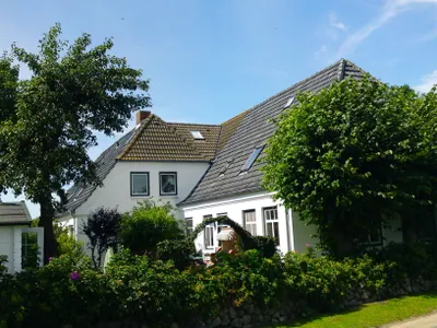Ferienwohnung für 3 Personen (50 m²) in Dunsum 1/10