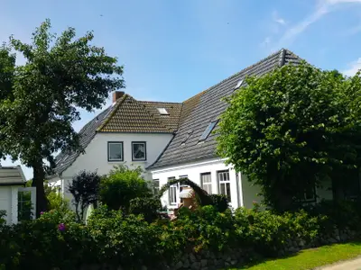 Ferienwohnung für 3 Personen (50 m²) in Dunsum 1/10