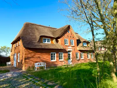 Ferienwohnung für 5 Personen (83 m²) in Dunsum 2/10