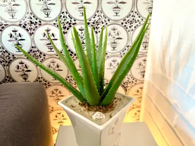 Ferienwohnung für 4 Personen (70 m²) in Dunsum 7/10