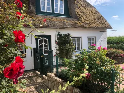 Ferienwohnung für 5 Personen (92 m²) in Dunsum 2/10