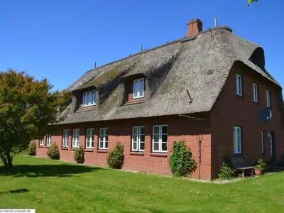 Ferienwohnung für 5 Personen (55 m²) in Dunsum 2/10