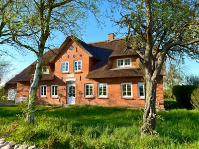 Ferienwohnung für 4 Personen (52 m²) in Dunsum 1/10