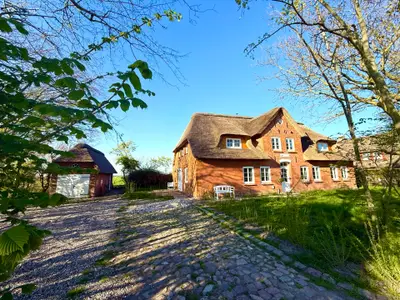Ferienwohnung für 4 Personen (52 m²) in Dunsum 2/10