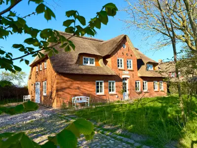 Ferienwohnung für 3 Personen (53 m²) in Dunsum 1/10