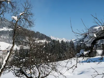 ViewWinter