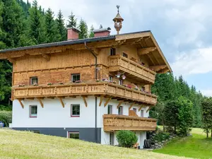 Ferienwohnung für 4 Personen (55 m²) in Eben im Pongau