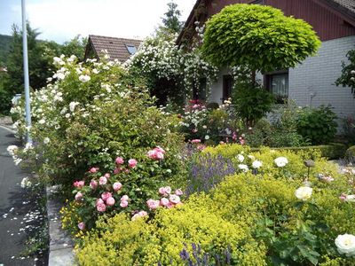 Ferienwohnung für 2 Personen (50 m²) in Ebermannstadt 10/10