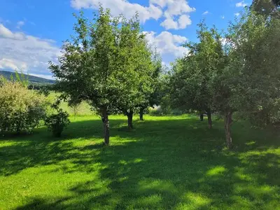 Ferienwohnung für 8 Personen (110 m²) in Ebermannstadt 5/10