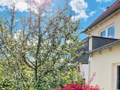 Ferienwohnung für 6 Personen (110 m²) in Ebermannstadt 9/10