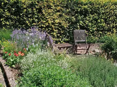 Ferienwohnung für 2 Personen (45 m²) in Ebermannstadt 10/10