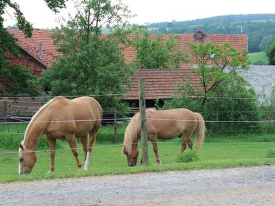 Ferienwohnung für 4 Personen in Ebersburg 6/10