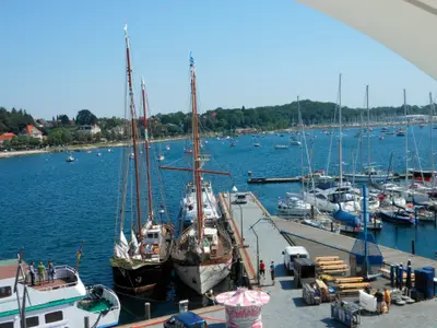 Ferienwohnung für 4 Personen (65 m²) in Eckernförde 5/10