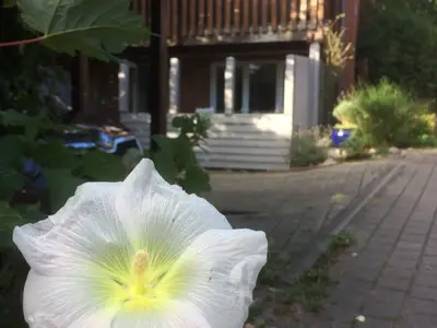 Ferienwohnung für 2 Personen (40 m²) in Eckernförde 9/10