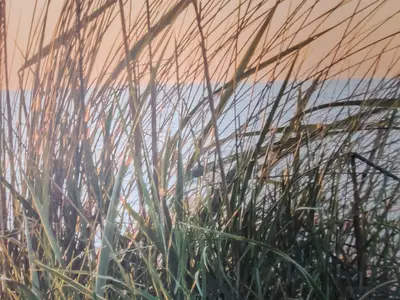 Ferienwohnung für 5 Personen (56 m²) in Eckernförde 7/10