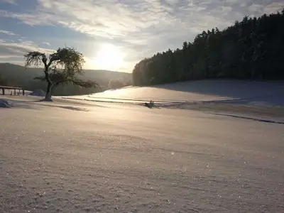 Ferienwohnung für 4 Personen (60 m²) in Eckersdorf 1/10