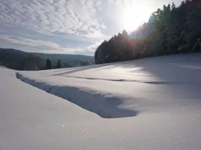 Ferienwohnung für 4 Personen (60 m²) in Eckersdorf 4/10