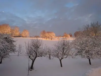 Ferienwohnung für 4 Personen (60 m²) in Eckersdorf 5/10