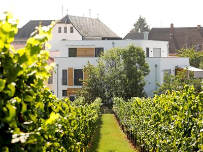 Aussenansicht vom Haus durch den Weinberg