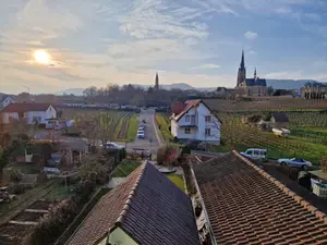 Ferienwohnung für 3 Personen (55 m²) in Edenkoben