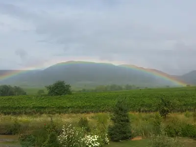 Regenbogen