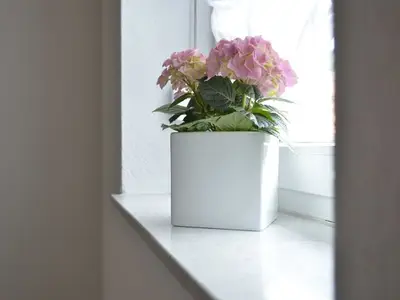 Ferienwohnung für 5 Personen (50 m²) in Edersee - Hemfurth 5/10