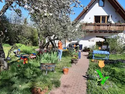 Ferienwohnung für 5 Personen (95 m²) in Edertal 1/10