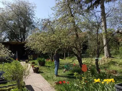Ferienwohnung für 5 Personen (95 m²) in Edertal 6/10