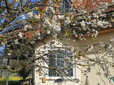 Ferienwohnung für 2 Personen (65 m²) in Edertal 1/10