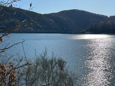 Ferienwohnung für 3 Personen (50 m²) in Edertal 7/10