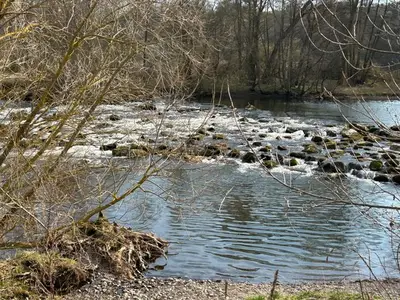 Ferienwohnung für 3 Personen (50 m²) in Edertal 10/10