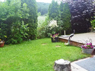 Ferienwohnung für 2 Personen (35 m²) in Edertal 6/10