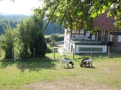 Ferienwohnung für 2 Personen (40 m²) in Edertal 3/10